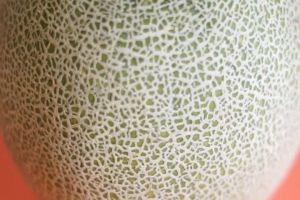 Fresh Fruit Hami Melon 1pc