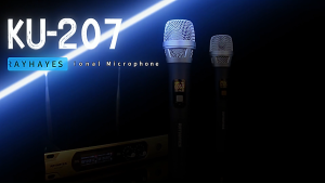 RAYHAYES KU-207 Wireless Microphone Rechargeable UHF Dynamic System for Karaoke Stage singing Family entertainment