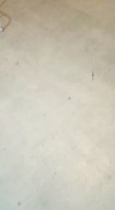 KEMEJA WANITA BLOUSE POLOS CROP KRINCLE AIRFLOW PREMIUM TERMURAH