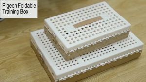 Foldable training box for pigeon Portable T box Plastic folding cage for pigeon