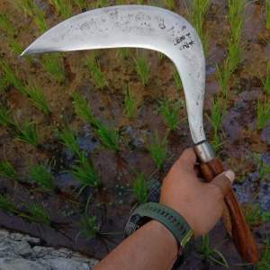 SULTAN NGARIT-Alat pemangkas rumput arit super tajam siap pake