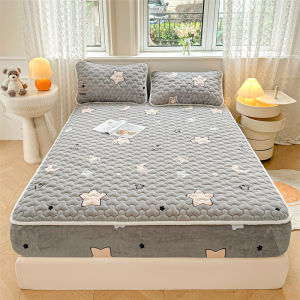 Dustproof and Anti-slip Bed Sheet Cover Mattress Protector