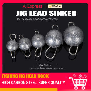 Mrlurion Fishing accessory 10pcs 2g 4g 6g 8g 10g 12g 14g 16g jigging lead sinker for deepwater lure fishing round pendant sink