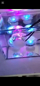 Đèn LED Rọi Bể Cá - Chống nước An toàn cho Hồ cá Thủy sinh Hòn non bộ (Có bảo hành)