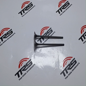 TRS Klep Set In dan Ex Motor Viar Karya 200cc Oem Viar Spareparts Original TRS JOGJA