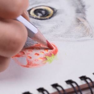 DELI สีไม้ระบายน้ำ ดินสอสีไม้ พร้อมพู่กันระบายสี 1กล่อง 36 สี สำหรับงานศิลปะ อุปกรณ์วาดภาพ Coloured Pencil