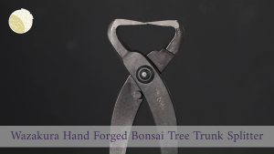 Wazakura Bonsai Tree Trunk Splitter 210mm (8.25") – Hand Forged in Japan Asymmetrical Ergonomic Handle Precision Tool Minimal Scarring Bonsai Tools
