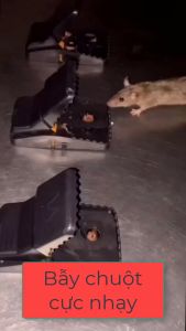 [HÀNG CÓ SẴN] BẪY CHUỘT ĐEN THÔNG MINH