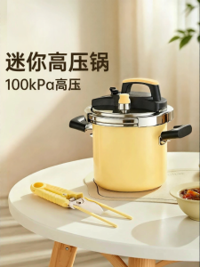 KIMS COOK | Mini Portable Pressure Cooker