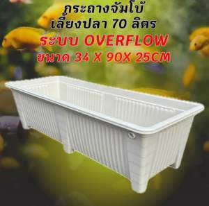 กระถางเลี้ยงปลาไซซ์จัมโบ้สีดำ เปล่า ระบบoverflow ขนาด34x90x25CM กะบะเลี้ยงปลา อ่างเลี้ยงปลา อ่างเลี้ยงปลาเมกาดะ