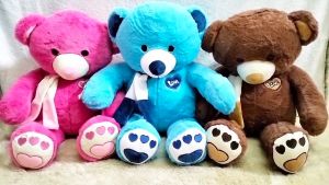 Dreamtoys96 Boneka Beruang Teddy Bear Syall Bordir Ukuran  XL
