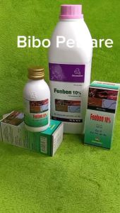 Fenben 10% (Fenbendazole) diệt giun tròn sán dây cho chó mèo thú cảnh gia cầm gia súc - Bibopetcare