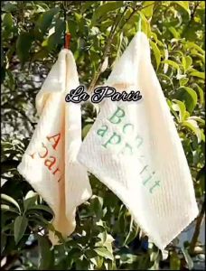KOKOMI Lap Tangan Bordir La Paris Handtowel Aesthetic Handuk Lap Microfiber Lembut Kain Lap Gantung Menyerap Air
