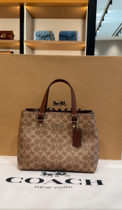 Rowan gold micro label zipper opening crossbody handbag large CW422
