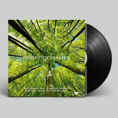 Relaxing Classical Music LP Record 12in