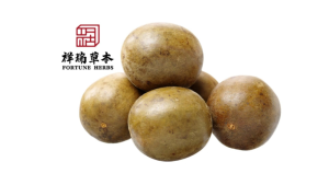 Fortune Herbs Monk Fruit Lo Han Guo Size-XL 60mmx60mm herbs 草药 化痰 化痰止咳 天然代糖 润肺止咳