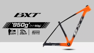 BXT Full Carbon T1000 29er MTB Frame  Boost  Internal Routing UDH Hanger Hardtail Carbon Mountain Bike Frame