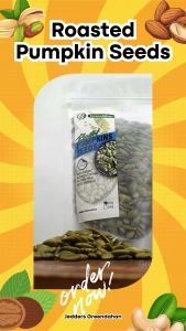 Greendahan Roasted Pumpkin Seeds 1kg - Nutrient Dense Nut