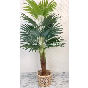 Tanaman Artificial Pohon Hias Palem Sadeng T160 Latex Pot Dasar Hitam Cover Keranjang Rotan Bulat Dekorasi Ruang Cafe Aesthetic