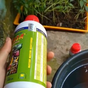 Pupuk Pelebat Kopi / Pupuk Cair Pelebat Buah Kopi / Pupuk Organik Pelebat Buah Kopi / Pupuk ZPT Kopi