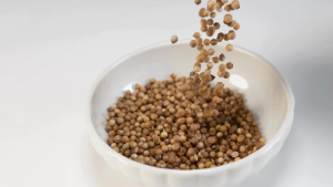 ลูกผักชีแห้ง ลูกผักชี เมล็ดผักชี Dried Coriander Seeds มาตรฐาน อย. ตรา กอเงินฟาร์ม ขนาด 200 กรัม