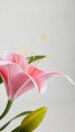 Bunga Lily Latex Cabang 3 Bunga lili Palsu Bahan Lateks Artificial Real Touch Silk Flower Tiger Lilies Hiasan Hotel Bucket Rumah Cafe dan Dekorasi Pelaminan Berkualitas Import Premium Murah. 