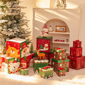 CAIKOU | New Christmas Gift Box