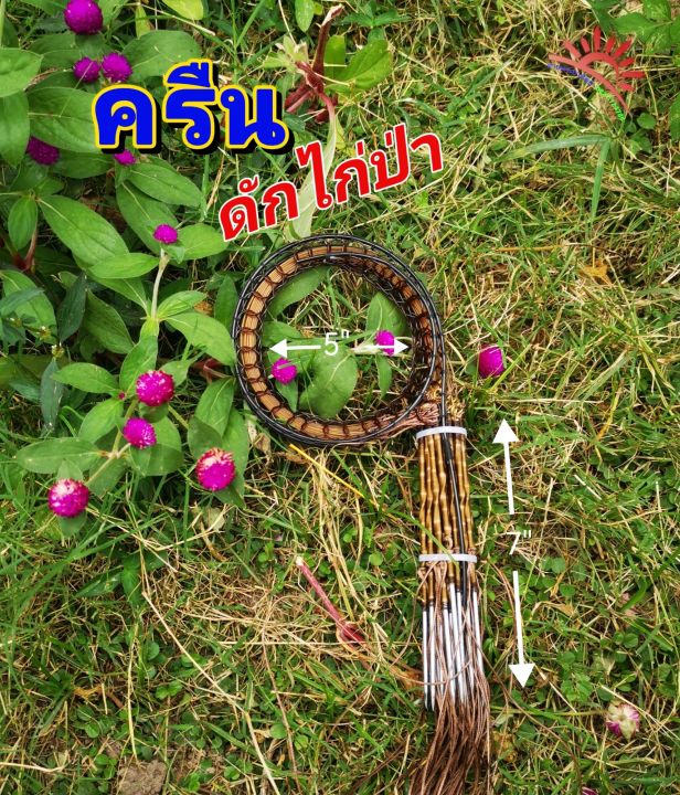 ครืนดักไก่ บ่วงดักไก่ ขนาด 5 นิ้ว สีน้ำตาล | Lazada.co.th