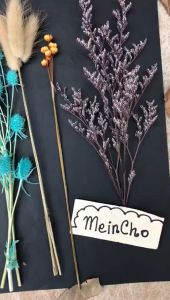 (3-10 tangkai) Bunga Kering Rustik Dried Flower Rustic GANDUM BABY BREATH bahan Scrapbook Resin