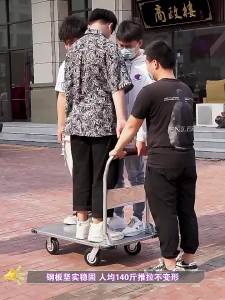 Cargo Household Foldable Hand Truck 1 Tier