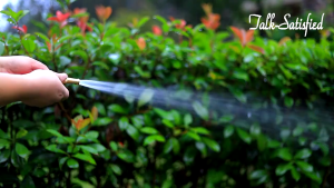 Kepala Semprotan Air Lurus Kuningan Untuk Semprotan Taman cuci motor mobil  siram tanaman - Nozzle Spray