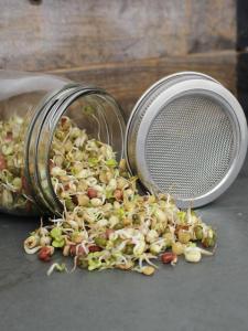 Glass Sprouting Jar Kit for Bean Sprouts Home Garden Seedling Planting Mason Bottle Herb Seed Germination Tool Family Use