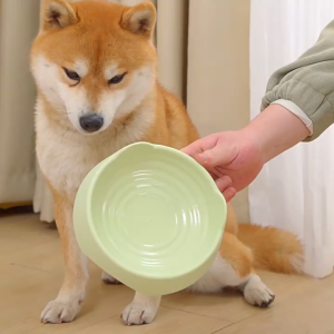 Bát Thức Ăn Đơn Tai Mèo Nhiều Màu Cho Chó Mèo Thú Cưng - iPet Shop