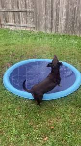 Dog Splash Pad Toy Thick Sprinkler Pool Anti-Slip Outdoor Summer Sprinkler Water Toy for Backyard Fountain Play Mat for Children