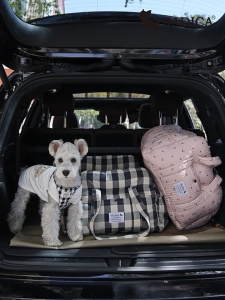 Lovinland Pet Soft Pet Car Seat for Cat Puppy Portable Dog Booster Green Car Seat with Clip-On Safety Leash Perfect for Small Pets Cat Kitten Washable for Front and Back Seat