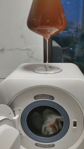 Mini Washer 3 in1 Stainless Steel Drum Wall-Mountable and Stand-Alone Washing Machine 280*280*250mm