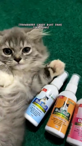 Holycatlabs Parfum Kucing BUL BUL 60ml | Perfume Aman Terjilat Non Alkohol Wangi Sepanjang Hari