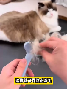 Pet Detangling Brush Stainless Steel Tooth Cat Dog Grooming Comb Anti Tangle Hair Care Tool