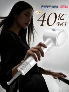 Baylegor | Ion Protecting Fast Drying Hair Care Blow Dryer