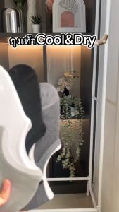 INNERCLUB ถุงเท้าข้อเว้า (Free Size, 6 คู่) รุ่น Cool & Dry นุ่ม สบายเท้า มี 4 สีให้เลือก