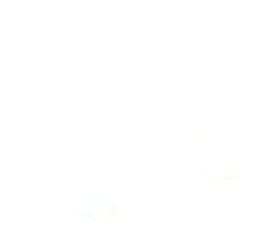 SKISOPGO Electric Rotating Flying Bird Cat Toy Electric Flower Rotating Butterfly Bird Teaser Cat Kitten Pet Play Toy