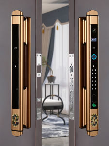 AODENG | Wealth Attracting Anti-theft Visible Fully Automatic Fingerprint Smart Lock