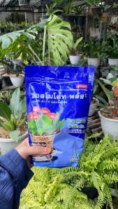 Pupuk Dekastar Thailand BIRU 1 kg | 500 gr | 250 gr| 150 gr