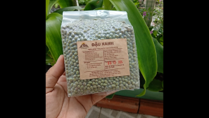 Đậu xanh thuần chủng Mountain Farmers đậu đỗ xanh sạch hạt ngon nấu chè cháo làm bánh sữa hạt làm giá đỗ...