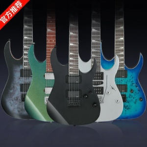 Ibanez | Beginner Electric Guitar Kit