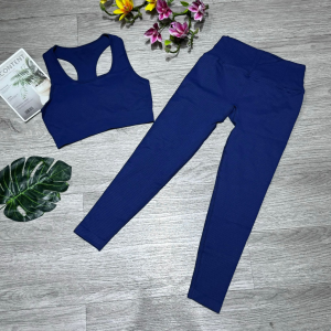 Bộ đồ tập gym yoga aerobic thể thao nữ áo bra kèm mút và quần dài chất liệu thun dệt kim quảng châu BINSPORTS BD262