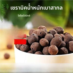 อุปกรณ์ปลูกไม้ดอกเพลิงแบบหินซิลิโคเนอร์สำหรับใช้ในบ้าน ทรายระบายอากาศได้ดี ทนทานต่อความชื้น สำหรับการปลูกพืชในบ้าน