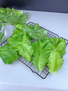 Mô Hình Lá Rau Diếp Giả Mô Phỏng Trang Trí Đĩa Bày Đồ Trang Trí Nhà Hàng Rau Củ Giả Lá Rau Diếp Cỡ Lớn Có Thể Rửa Bằng Nhựa Mềm