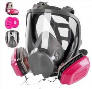 Full face respirator 6800 gas mask reusable face mask with filter 60921 dust mask anti fog organic vapor smoke spray paint