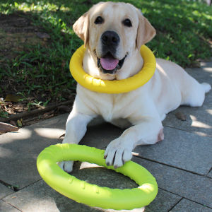 Dog Training Dog Toy Pull Ring Bite Ring Bite-Resistant Puppy Interactive Ring Bite Ball Golden Retriever Labrador Medium and Large Dog